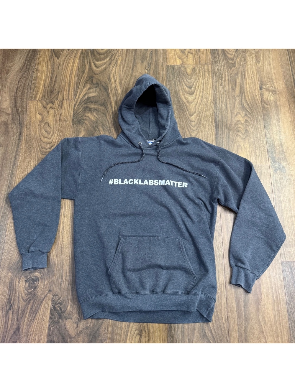 Black Labs Matter Hoodie Men’s Medium Hanes Graphic Pullover Dog Sweatshirt Gray